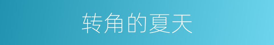 转角的夏天的同义词