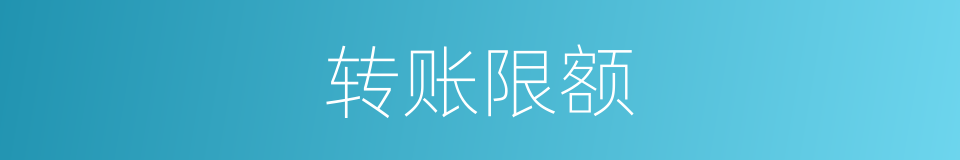 转账限额的同义词