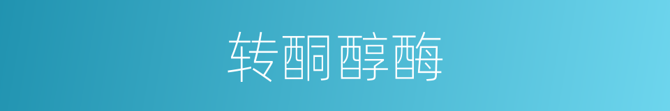 转酮醇酶的同义词