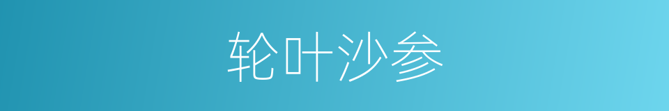 轮叶沙参的同义词