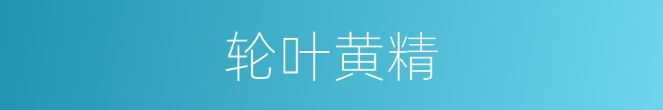 轮叶黄精的同义词