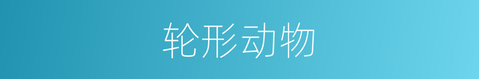 轮形动物的同义词