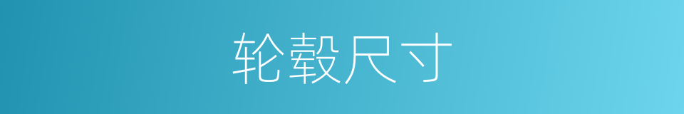 轮毂尺寸的同义词