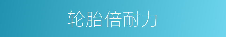 轮胎倍耐力的同义词