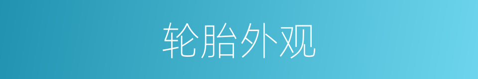 轮胎外观的同义词