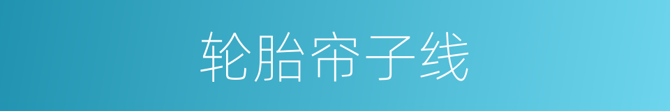 轮胎帘子线的同义词