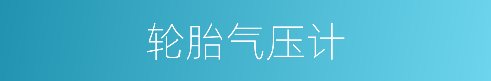 轮胎气压计的同义词