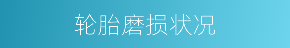 轮胎磨损状况的同义词