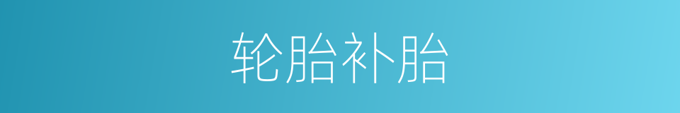 轮胎补胎的同义词