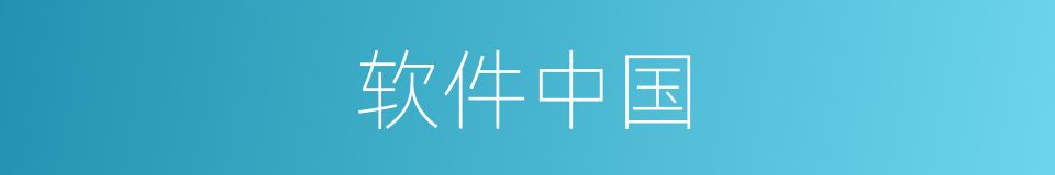 软件中国的同义词