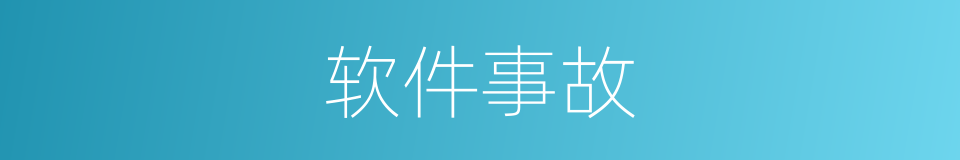 软件事故的同义词