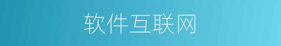 软件互联网的同义词