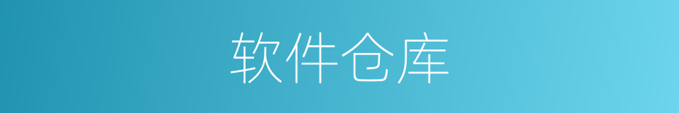 软件仓库的同义词
