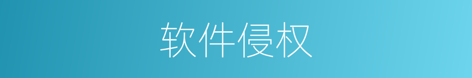 软件侵权的同义词