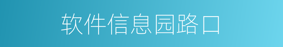 软件信息园路口的同义词