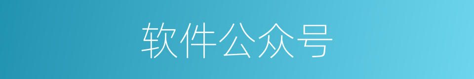 软件公众号的同义词