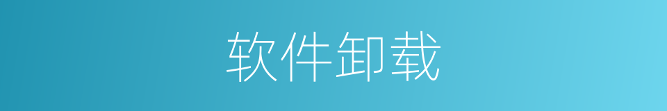 软件卸载的同义词