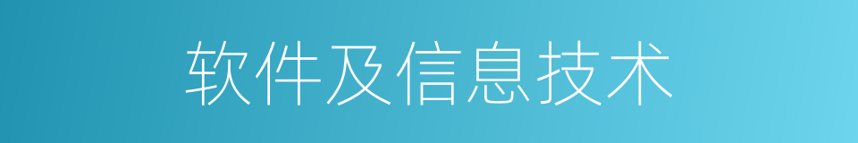 软件及信息技术的同义词