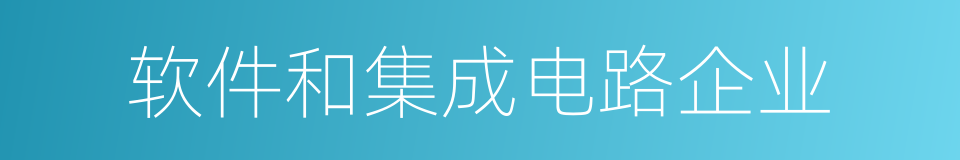 软件和集成电路企业的同义词