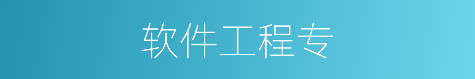 软件工程专的同义词