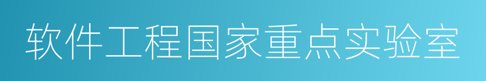 软件工程国家重点实验室的同义词