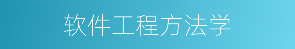 软件工程方法学的同义词