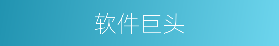 软件巨头的同义词