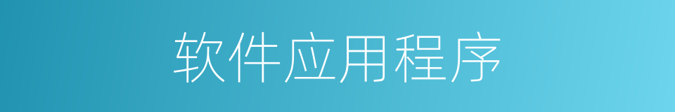 软件应用程序的同义词