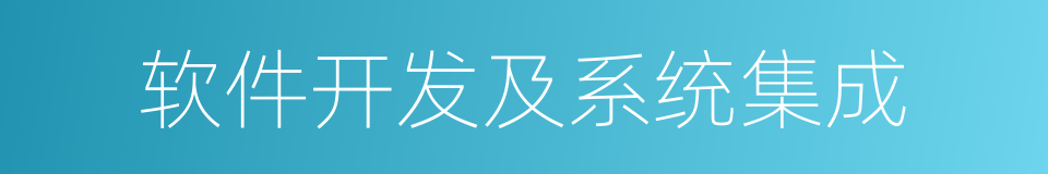 软件开发及系统集成的同义词