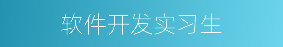 软件开发实习生的同义词