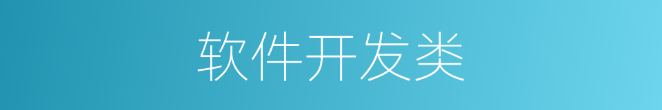 软件开发类的同义词