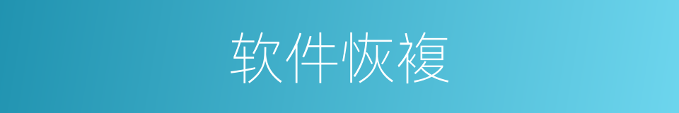 软件恢複的同义词
