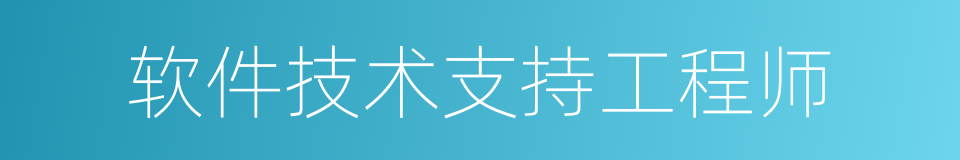 软件技术支持工程师的同义词