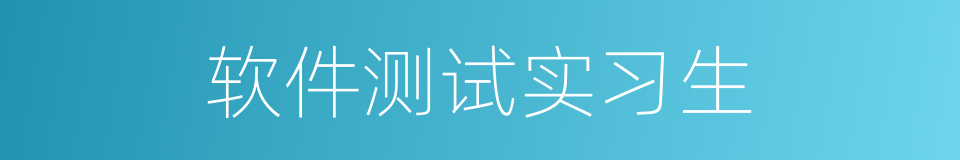 软件测试实习生的同义词