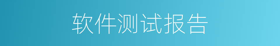 软件测试报告的同义词