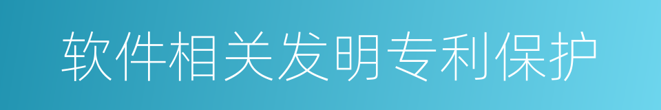 软件相关发明专利保护的同义词