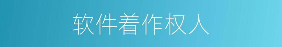 软件着作权人的同义词