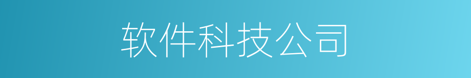 软件科技公司的同义词