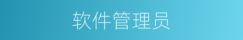软件管理员的同义词