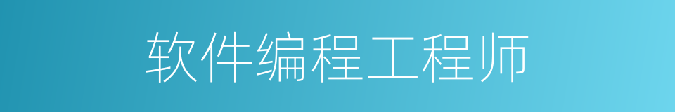 软件编程工程师的同义词