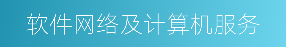 软件网络及计算机服务的同义词