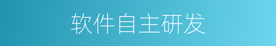 软件自主研发的同义词