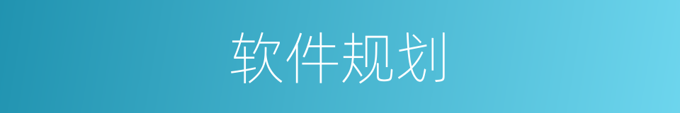软件规划的同义词