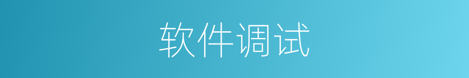 软件调试的同义词