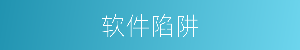 软件陷阱的同义词
