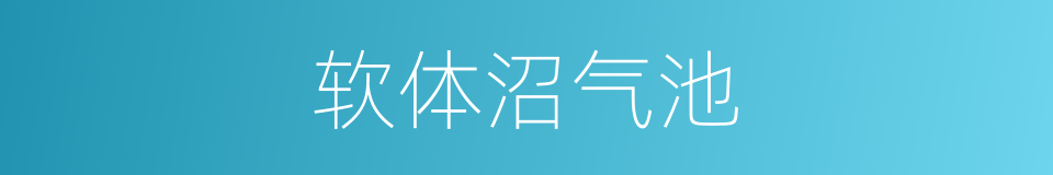 软体沼气池的同义词