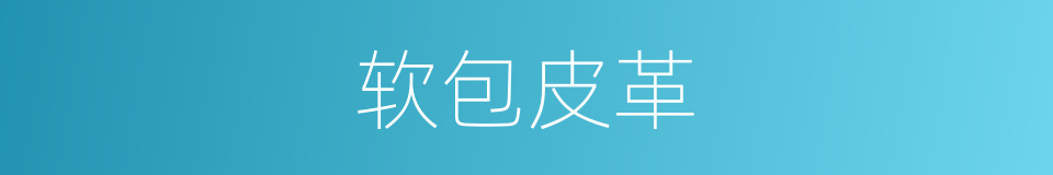 软包皮革的同义词