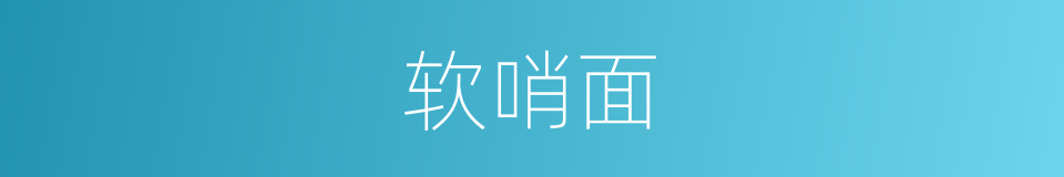 软哨面的同义词