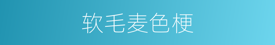 软毛麦色梗的同义词