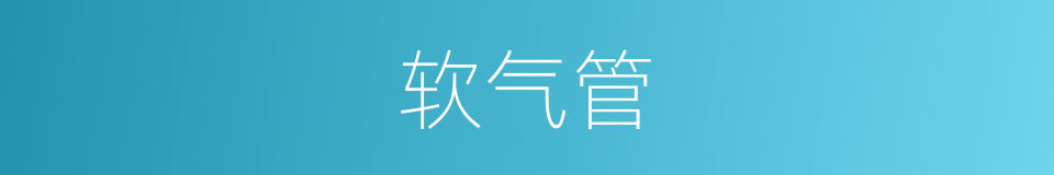 软气管的同义词